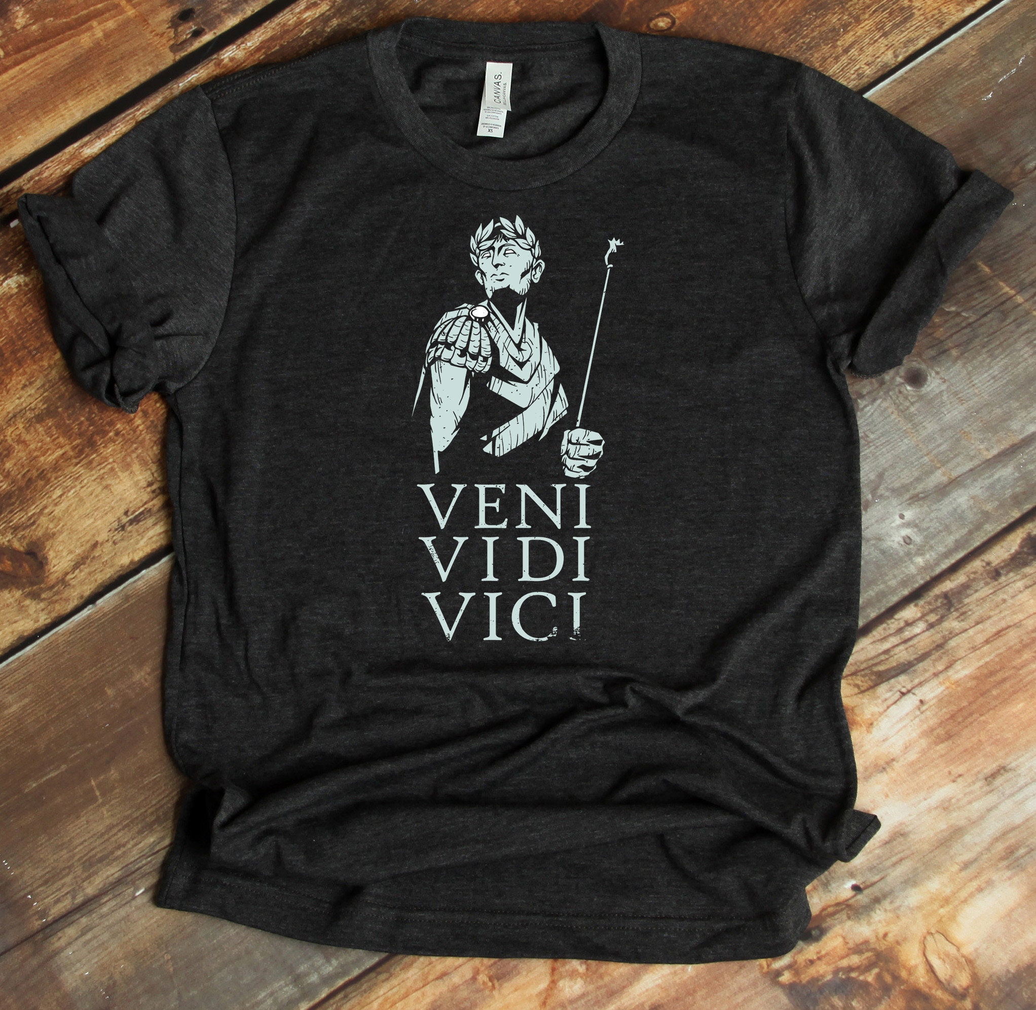 Veni Vidi Vici Quote -  Sweden