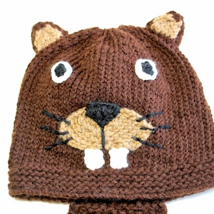 Knit Yarn Beaver Hat, Halloween Costume Ideas for Kids and Adults, Knitted Winter Hats for Children, Crochet Animals for Babies, Animal Face