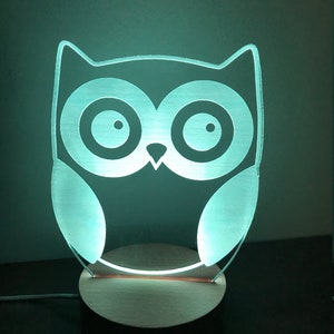 Personalized Night Light, Owl Night Light, Kid&#39;s Night Light, Girl&#39;s Room, Boy&#39;s Room, Kid&#39;s Bedroom Décor