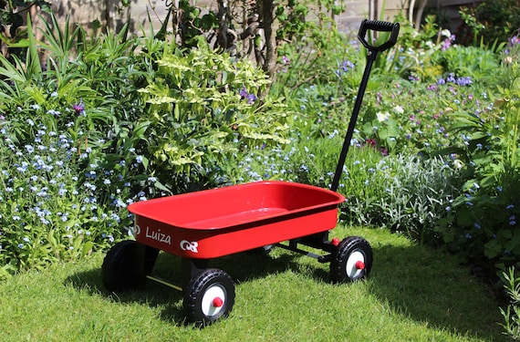 kids pull along cart