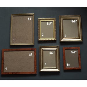 May include: A set of six picture frames in various sizes and styles. The frames are arranged in two rows of three. The top row includes a gold frame labelled "A4", a gold frame labelled "5x7", and a gold frame labelled "6x8". The bottom row includes a brown wood frame labelled "A4", a gold frame labelled "5x7", and a brown wood frame labelled "5x7".