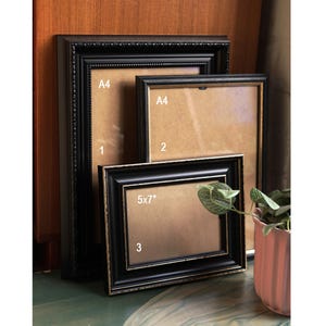 May include: Three black picture frames of varying sizes, including two A4 frames and one 12.7 x 17.8 cm frame. The frames have ornate detailing and gold accents. A small potted plant is visible in the background.