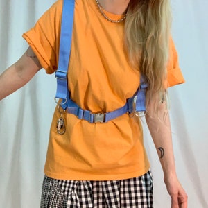 Cornflower blue utility harness