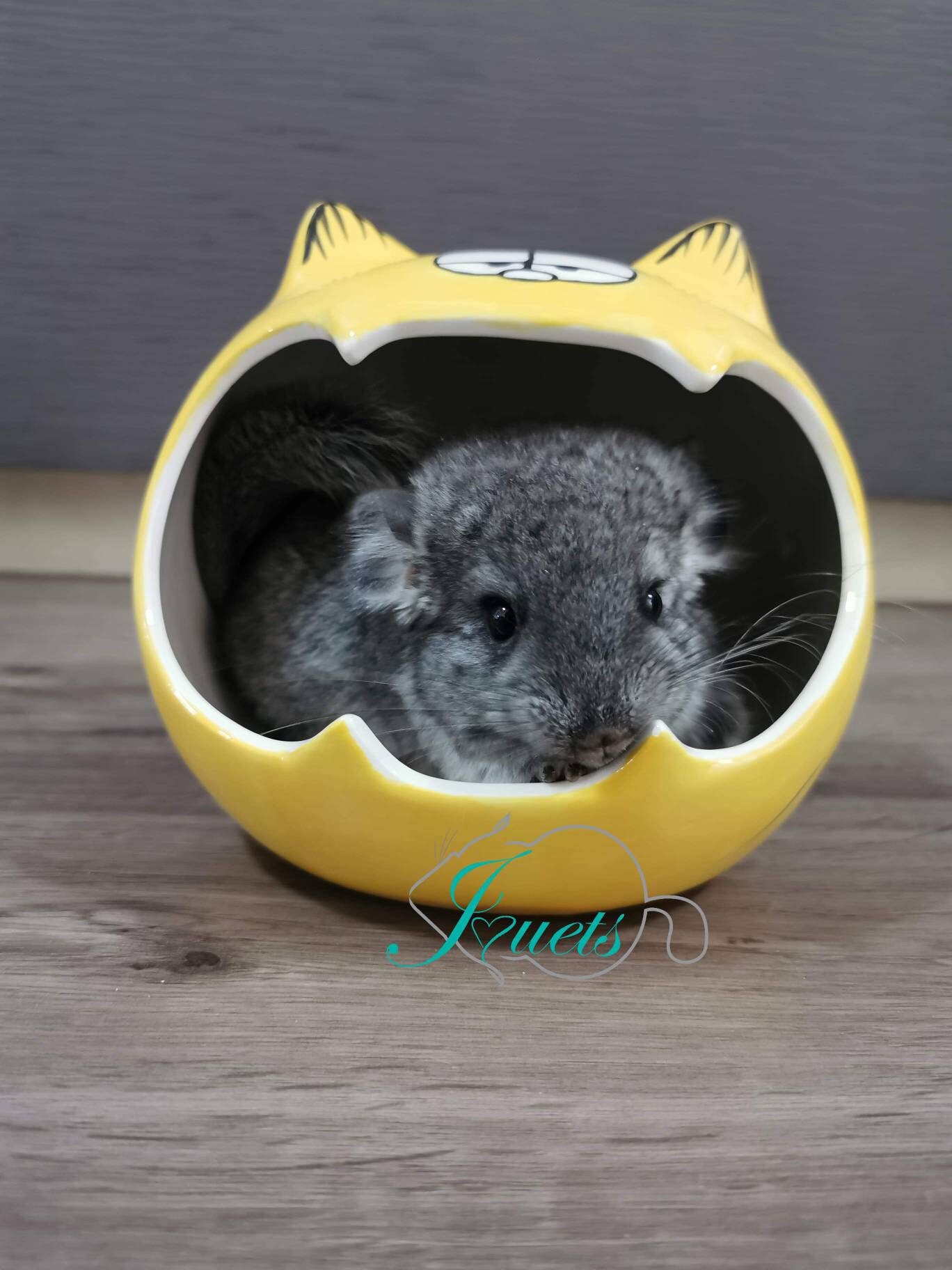 hamster ceramic hideout