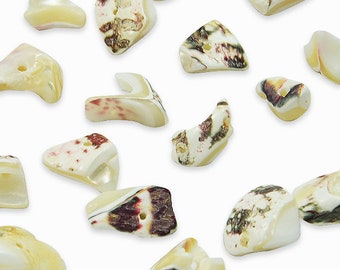 6 Packs of Fragmented Shell Beads - Natural - 18 pcs.
