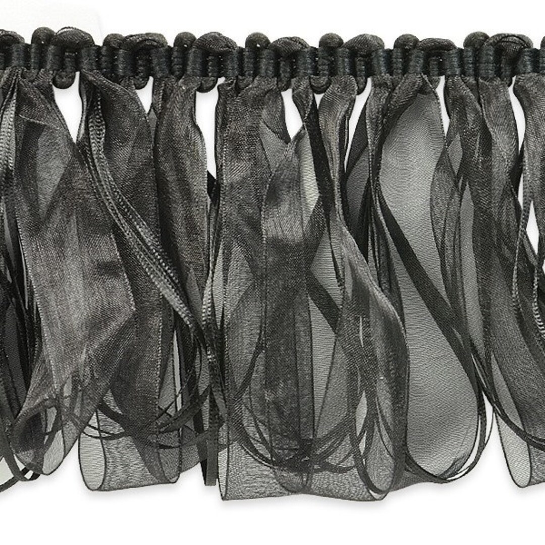 Expo Valdemar Loop Ribbon Fringe Trim per Yard - Etsy