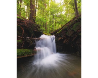 Secret Waterfall In The Forest | Wall Art | Gift | Redwood Forest Photography