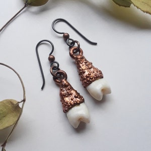 Real Human Tooth Copper Electroformed Earrings | Genuine Human Teeth | Tooth Earrings | Real Tooth Jewelry | Bone Jewelry | Creepy Jewelry |