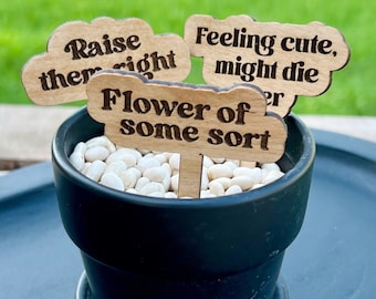 Funny Acrylic Plant Stakes, Sarcastic Garden Markers