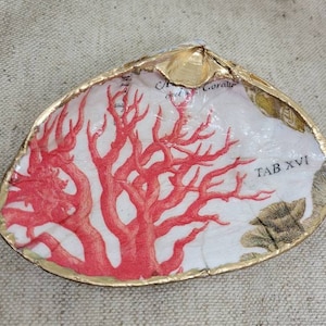 Sea shell trinket dish/shell dish/decoupage clam shell dish/coastal decor/shell decor/decoupage shell/shell dish/jewelry dish/trinket dish