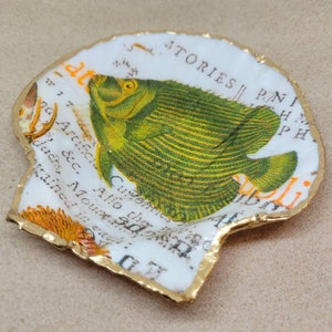 Seashell trinket dish/decoupage sea shell/trinket dish/decoupage trinket dish/coastal decor/beach decor/fish trinket dish/jewelry dish/shell