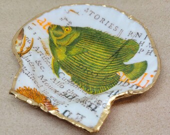 Plato de baratijas de conchas marinas / concha de decoupage de mar / plato de baratijas / plato de baratijas de decoupage / decoración costera / decoración de playa / plato de baratijas de pescado / plato de joyería / concha