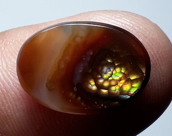 Fire Agate Cabochon #37