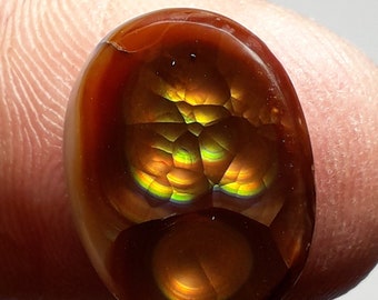 Fire Agate Cabochon #37