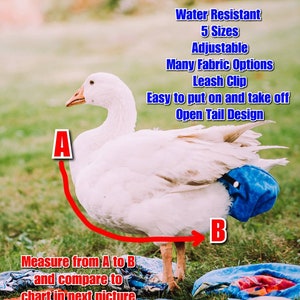 High Quality ORIGINAL - Duck Chicken Goose Diaper Harness - Adjustable - Open Tail - Leash Clip - Water Resistant - Patent Pending