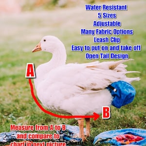 High Quality ORIGINAL - Duck Chicken Goose Diaper Harness - Adjustable - Open Tail - Leash Clip - Water Resistant - Patent Pending