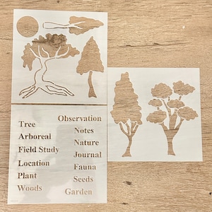 Naturstudie