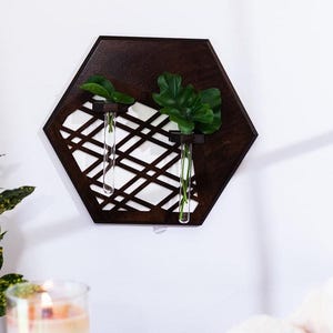 May include: A hexagonal wooden wall planter with a geometric design and two glass test tubes for holding small plants or flowers.