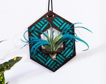 Hanging Air Plant, Wooden Hanging Air Plant Holder, Small Modern Plant Hanger, Hanging Planter, Geometric Wood Hanging Air Plant