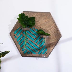 Puede incluir: Un macetero de pared hexagonal de madera con un diseño geométrico turquesa. Dos tubos de ensayo de vidrio se insertan en el macetero, cada uno con una pequeña planta.
