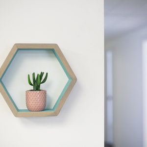 Hexagon Shelf Single, Honeycomb Shelf, Floating Shelves, Geometric Shelves, Modern Shelves,  Hexagon Wall Shelves for Plants