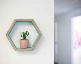 Hexagon Shelf Single, Honeycomb Shelf, Floating Shelves, Geometric Shelves, Modern Shelves,  Hexagon Wall Shelves for Plants