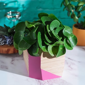 May include: A green leafy plant in a pink and wood geometric planter on a white marble surface.