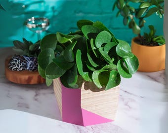 Colorful Geometric Planter, 6inch Pot,  Indoor Wooden Succulent Pot, Natural Office Plant Decor, Plant Lover Gift, Fun Student Room Decor