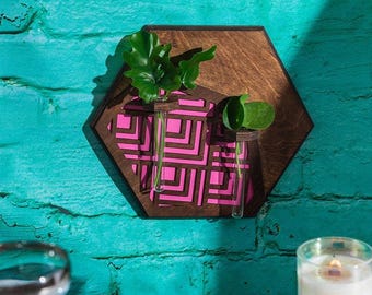 Propagation Station Wall Hanging Wood, Hexagon Shape Indoor Flat Planter, Wall Mounted Flower Holder
