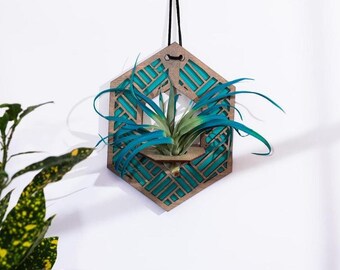 Wooden Hanging Air Plant Holder, Small Modern Plant Hanger, Fun Bathroom Decor, Plant and Garden Lover Gift