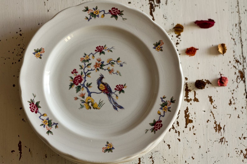 Plates Flat Birds Of Paradise Sarreguemines Earthenware Made Etsy