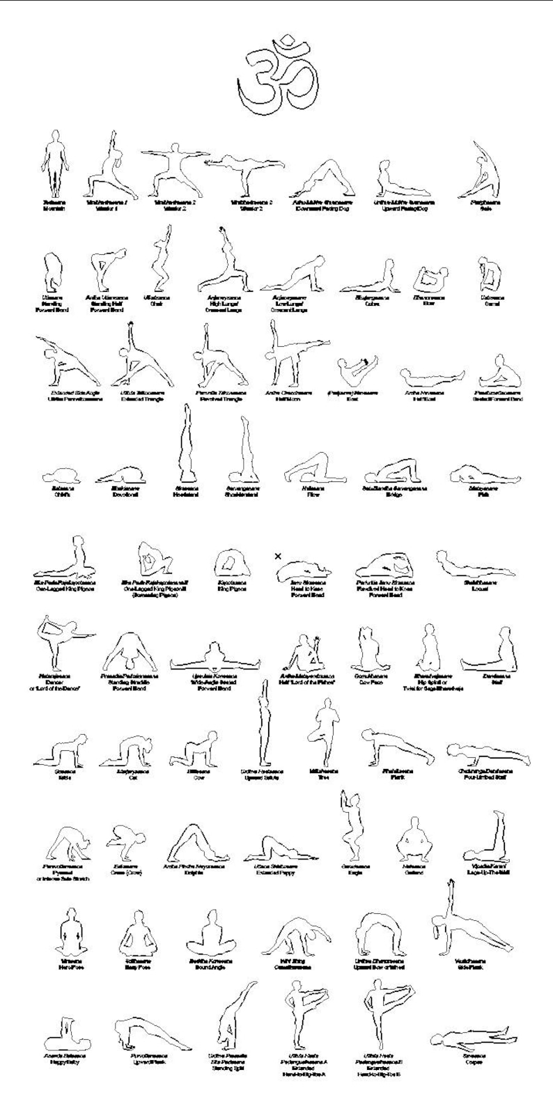 68 VECTOR Yoga Poses each with its English and Sanskrit names | Etsy