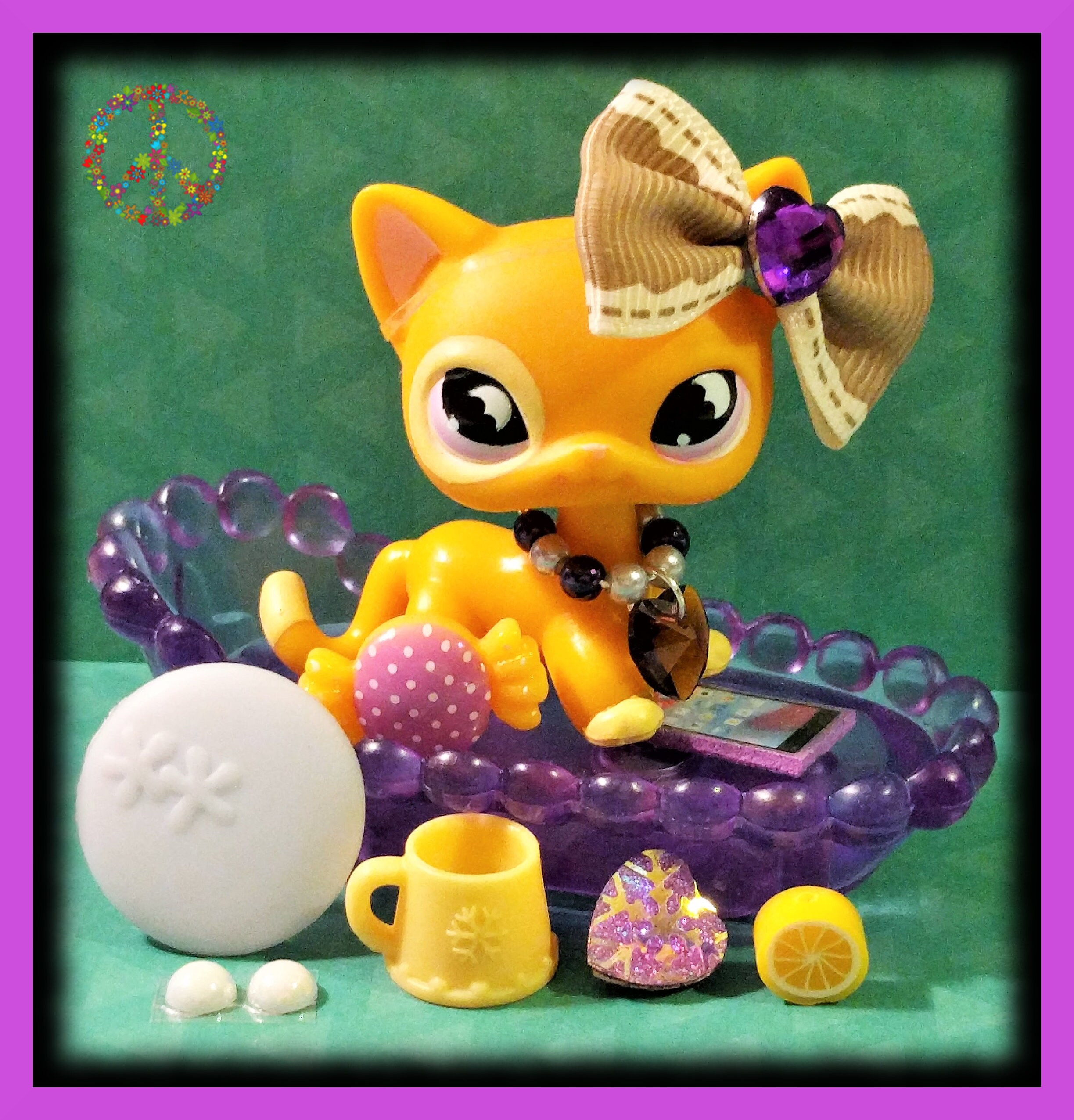 lps shorthair cat 855