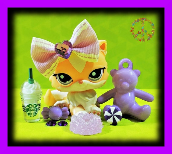 lps shorthair cat 855