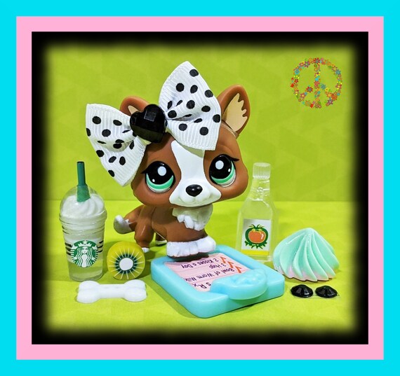 LPS Littlest pet shop chien European cat colley cat dog rare accessory