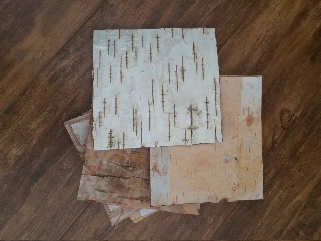 This Listing is for 10 Birch Bark Sheets. - Etsy