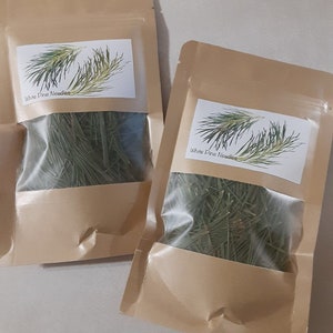 Canadian White Pine or Red Pine needles (loose) from Northern Ontario