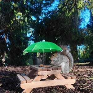 Mangiatoia per scoiattoli in noce, mini panca da picnic in legno per scoiattoli