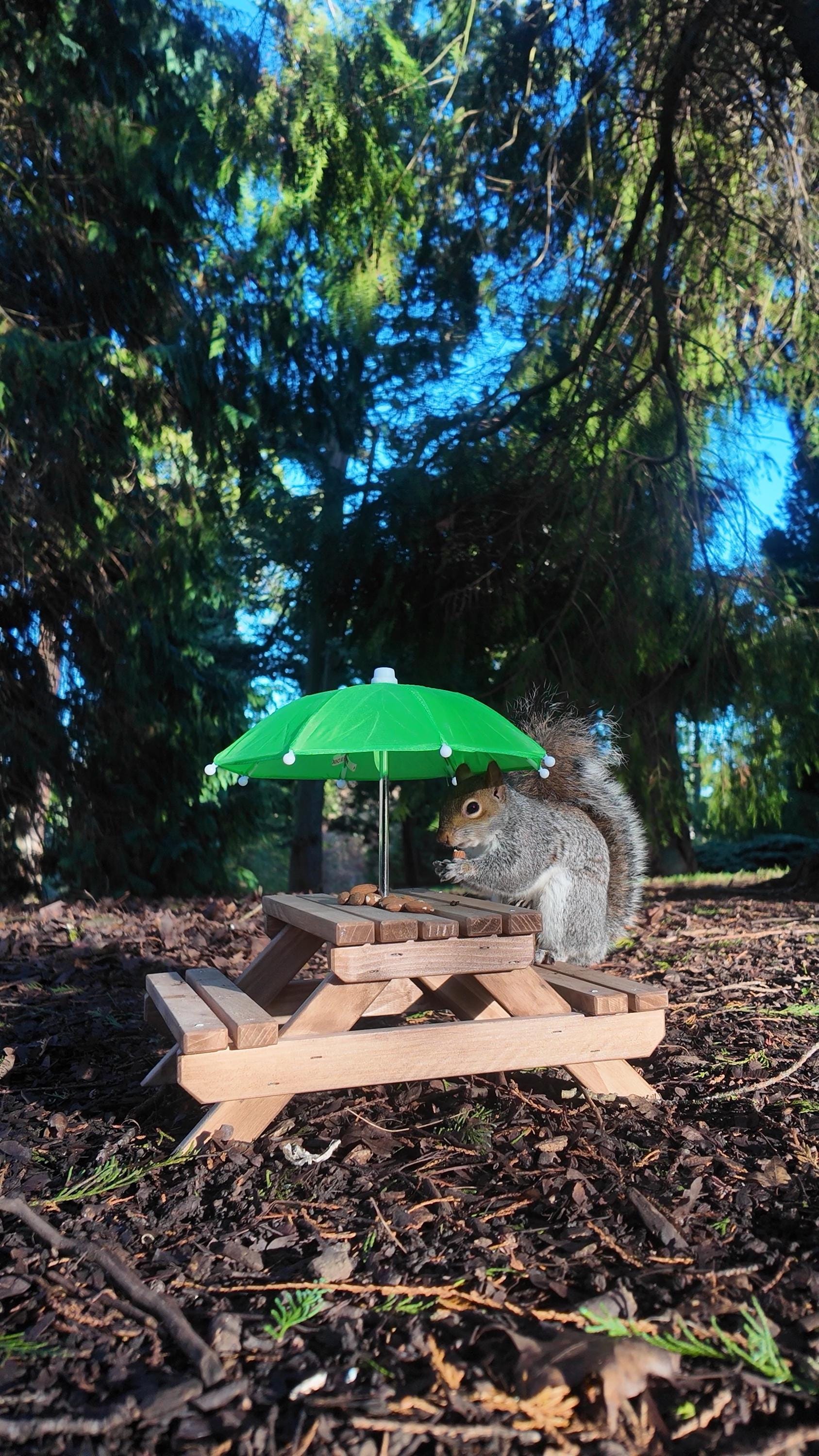 Mini banc de pique-nique en bois pour petits écureuils, noyer