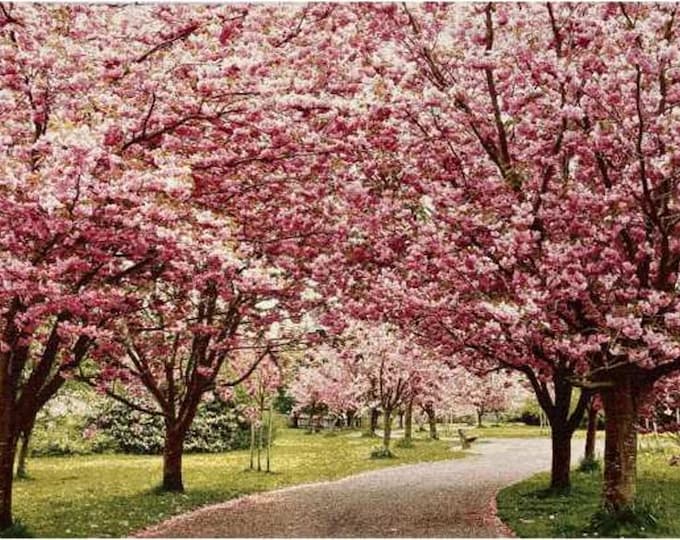 Cherry Tree Scene Large Hand Finished TAPESTRY Wall Hanging with hanging rod sleeve, 54" x 34" / 137cm x 86cm