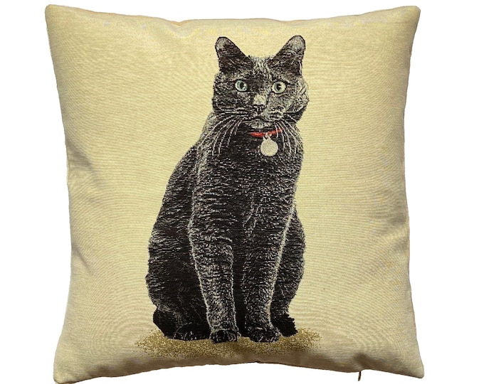 Chartreux Cat French Hand Finished Tapestry Pillow Cushion Cover WIth Zip & Soft Touch Velvet Cotton Reverse, 44cm x 44cm, 17" x 17"