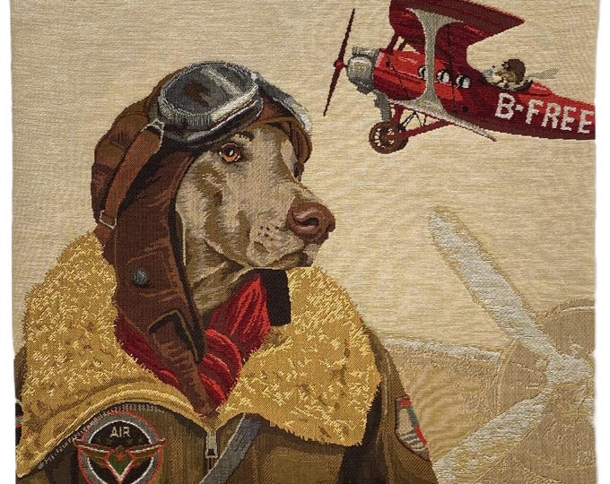 Red Aeroplane Biplane Dog Flyer Pilot BELGIAN Jacquard WOVEN Hand Finished Tapestry Pillow Cushion Cover Beige Velvet Reverse 46cm 18" 1593A