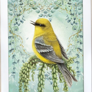 Blue-winged warbler Wall Art, Yellow bird Design, Spring design, birds Art Print, Natural Illustration