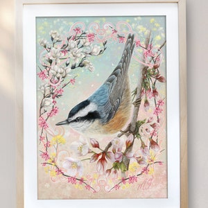 Nuthatch Wall Art, bird Design, Spring design, birds Art Print, Natural Illustration