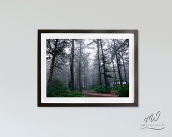 Misty Forest Photo Print, Woods Print, Foggy Trees Print, Nature Photography, Printable Photo Download, Summer Wall Decor