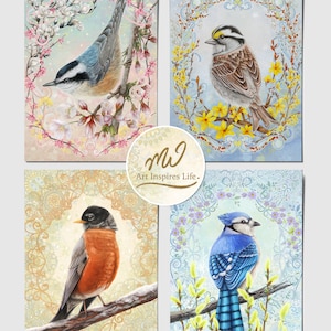 Cartes postales d'oiseaux et de plantes, Jeu de cartes postales, Cartes postales nature, Cartes postales d'illustration, Impressions de cartes postales, Cartes postales saisonnières