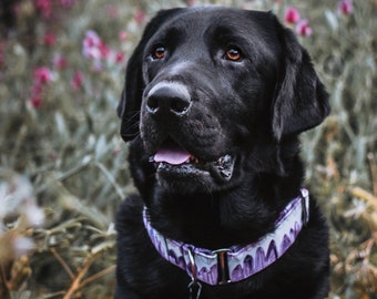 Amethyst Dog Collar, Recycled Canvas Collar, Crystals, Quartz, Purple, Mystical, Custom, Boho, Buckle, Slip on, Martingale, Dog on the Moon