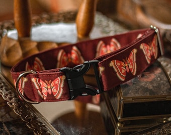 Atlas Moth Dog Collar: Nature, Insects, Burgundy, Red, Boho, Recycled Canvas Collar, Custom, Buckle, Slip on, Martingale, Dog on the Moon
