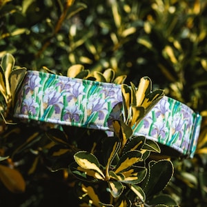 Peut inclure: Un collier de chien en tissu blanc avec un motif floral représentant des iris violets sur fond vert.