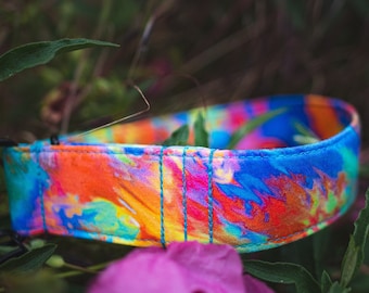 Karma Dog Collar, Rainbow, Psychedelic, Abstract, Colorful, Spring, Summer, Custom, Buckle, Slip on, Martingale, Dog on the Moon